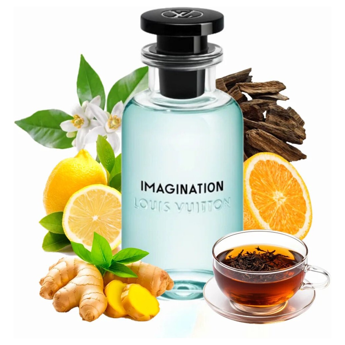 Imagination