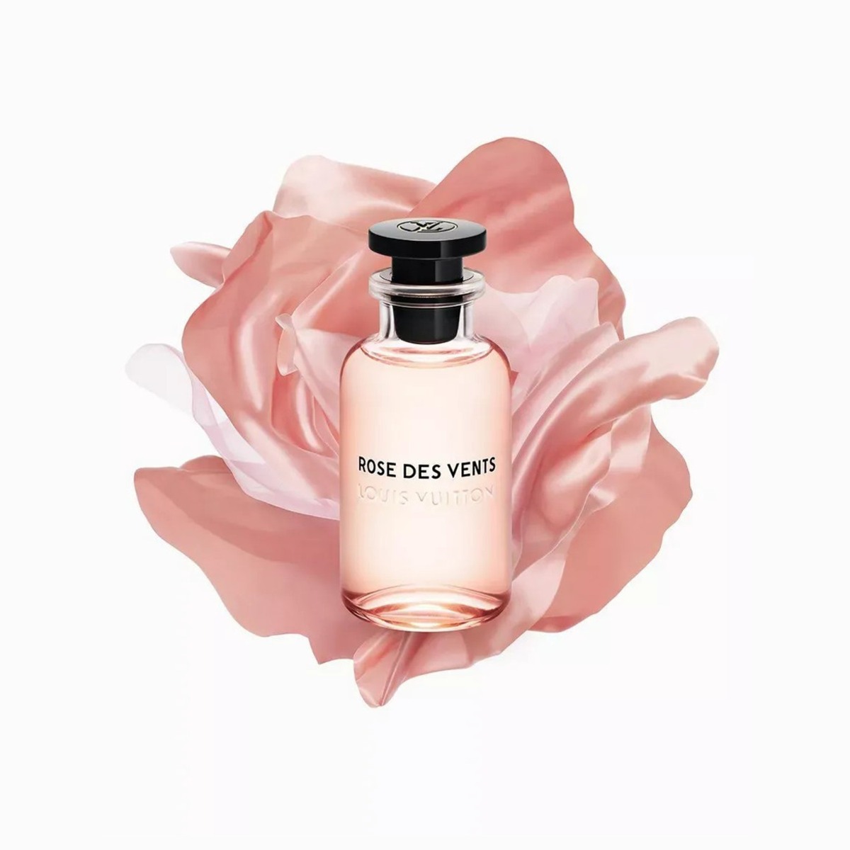 Rose des Vents