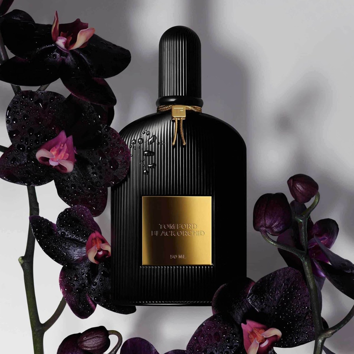 Black Orchid